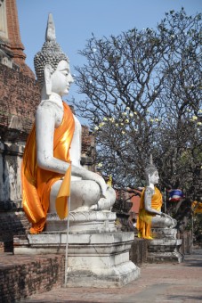 Buddha Image
