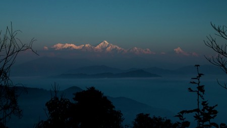 THE FIRST LIGHT