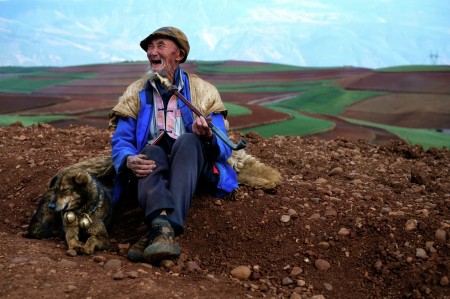 The Shepherd