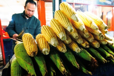Penjual Jagung Bakar
