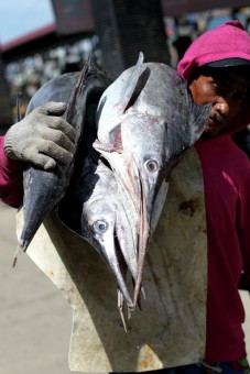 Catch of the Day