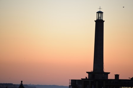 The Lighthouse