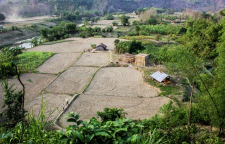 Beautiful Bangladesh.....