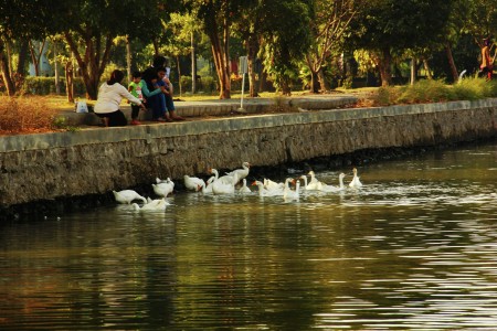 kampusku indah
