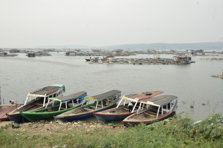 Tambak Ikan