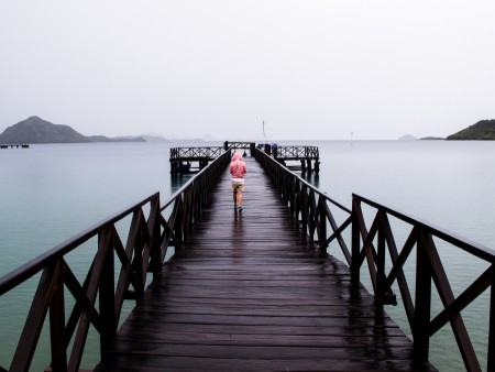 beautiful gloomy day