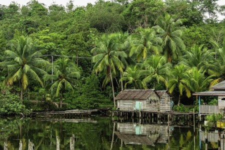 nyiur melambai di Pancur
