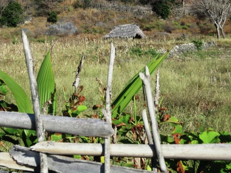 Rumah Kebun