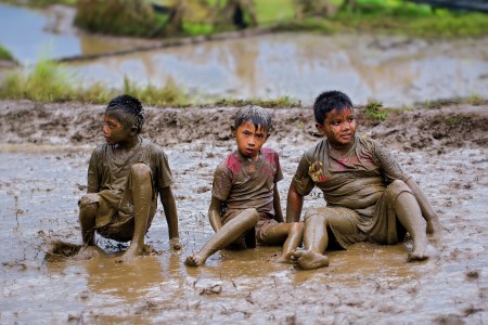 Bergelimang Lumpur Sawah