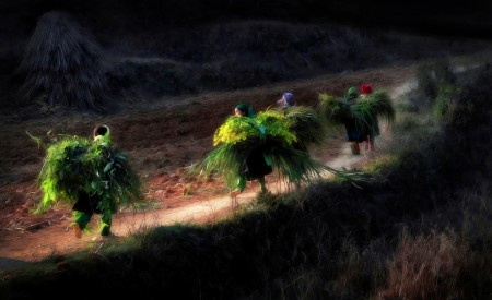 The_Way_back_Home