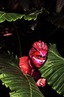 Forest Elemental