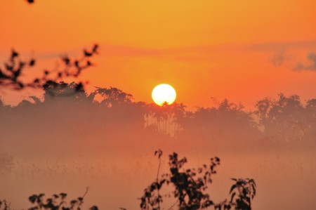 Sunrise