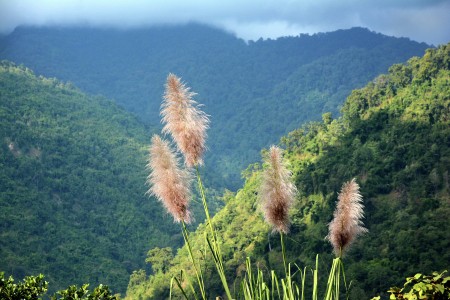 BEAUTY OF NATURE