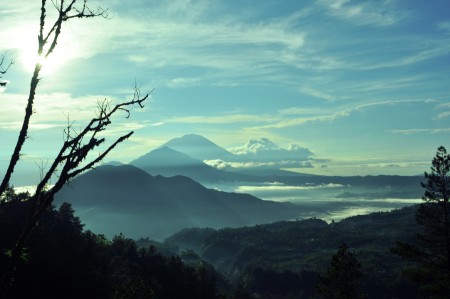 view