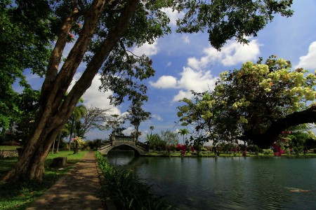 The Dream Garden