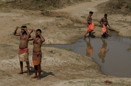 Festival of Bangali
