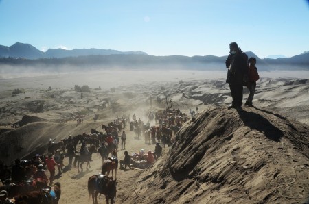 Men and horses