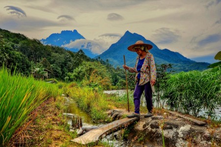 The old women And The Mountain
