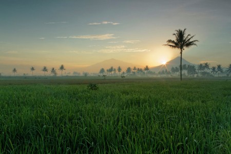 Indahnya pagi