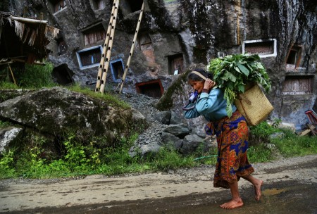 Carrying vegetables