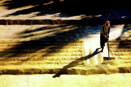 The Farmer