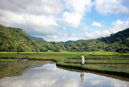 Menuju Cahaya Pagi