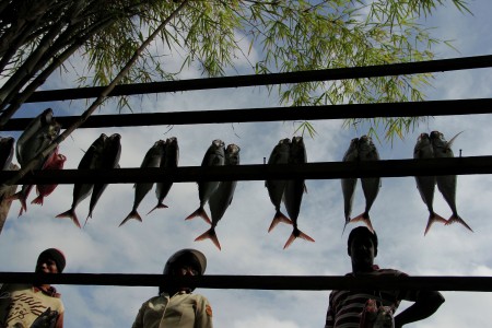Berniaga Ikan di Pante Uste Larantuka