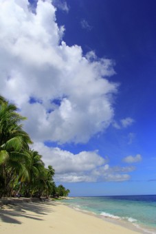 Beauty of Biak