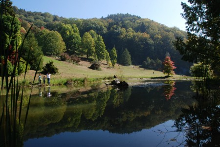 Reflections