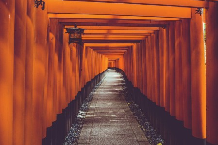 A Thousand Pillars