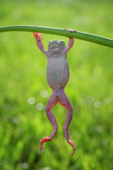 to climb