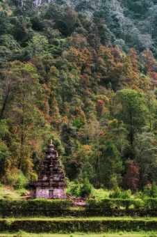 A Temple on the Colorful Trees