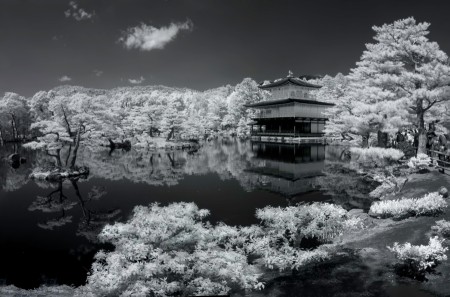Mystical Zen