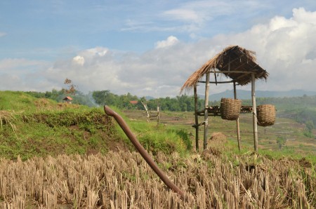 Cangkul dan Cangkruk