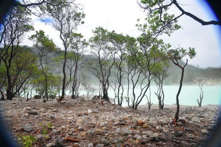 Barren