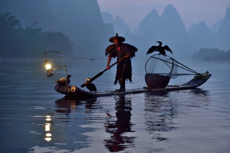Fisherman and His Birds