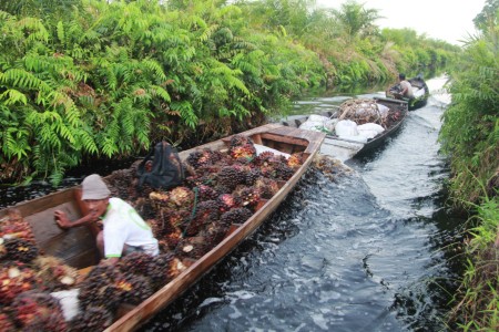 Transportasi Lahan Gambut