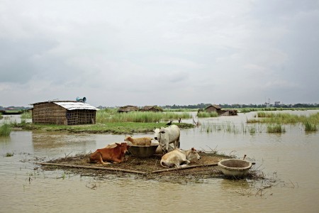 Flood Affected at River Padma