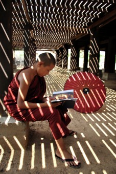 Novice is reading a book