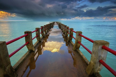 Morning after the rain