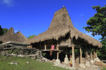 Sunny morning at Bukarea