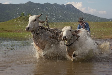 Kampot Farmers Life