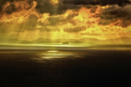 Bathing in the golden sun