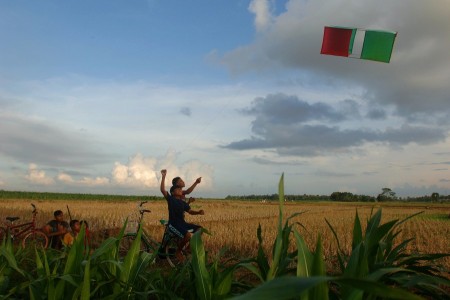 flying kites