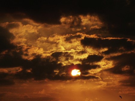 beauty sunset