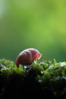waiting in the emty shell