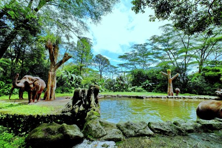 Paradise