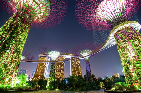The colors garden by the bay