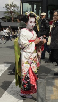 Maiko's glance