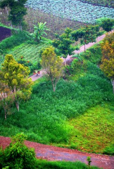 Alam Ku Dan Aktivitas